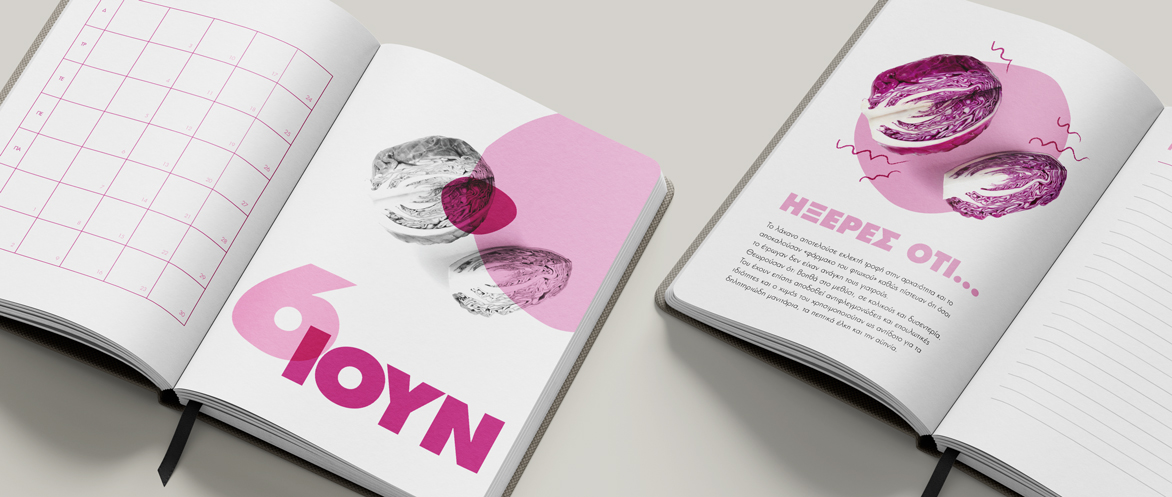 Planner's layout - Fun facts about vegetables (here cabbage). Concept and design by The Blank Sheep.