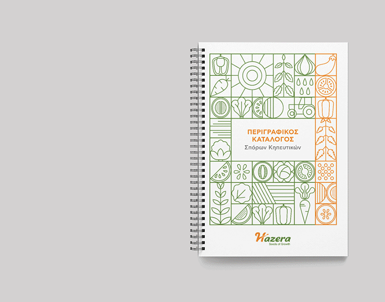 Catalog layout design with custom icons and patterns for Hazera. By The Blank Sheep