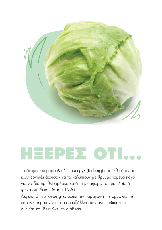 Planner's page layout - Fun facts about vegetables (here iceberg). Concept and design by The Blank Sheep.