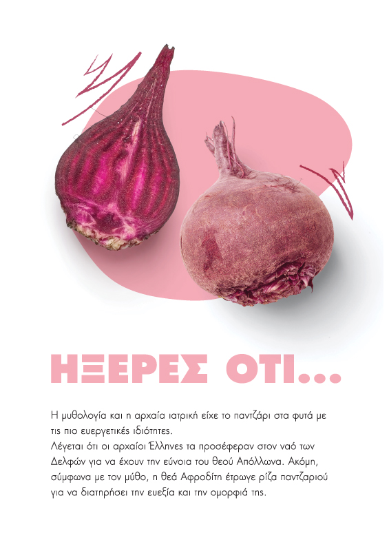 Planner's page layout - Fun facts about vegetables (here beetroot). Concept and design by The Blank Sheep.