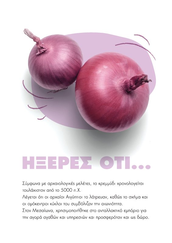 Planner's page layout - Fun facts about vegetables (here onion). Concept and design by The Blank Sheep.